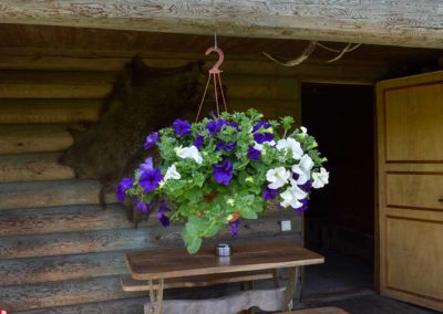 Mednieku namiņš — DSC_2552