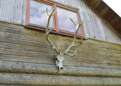 Mednieku namiņš — DSC_2554