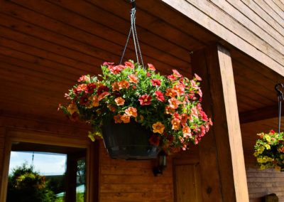 Viesu māja — DSC_2415